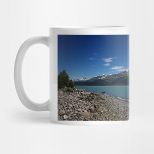 WGC_1659 Mug